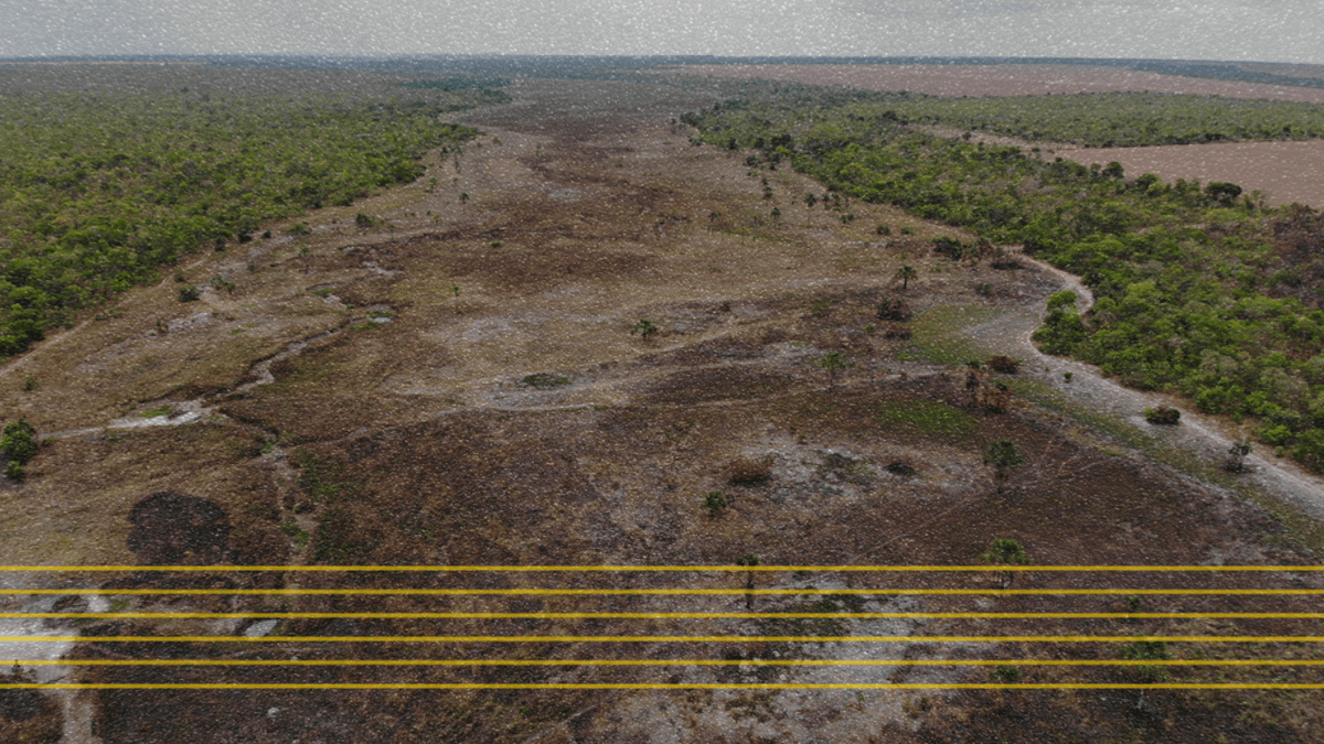 Cerrado Plano De Combate A Desmatamento Aposta Em Ampliar Terras