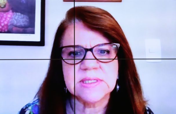 Mônica Andreis em audiência na Câmara dos Deputados