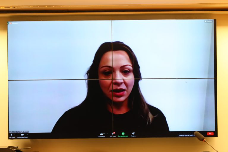 Audiência Pública - Abuso Sexual Infantil e a Família. Fundação Abrinq, Marta Volpi