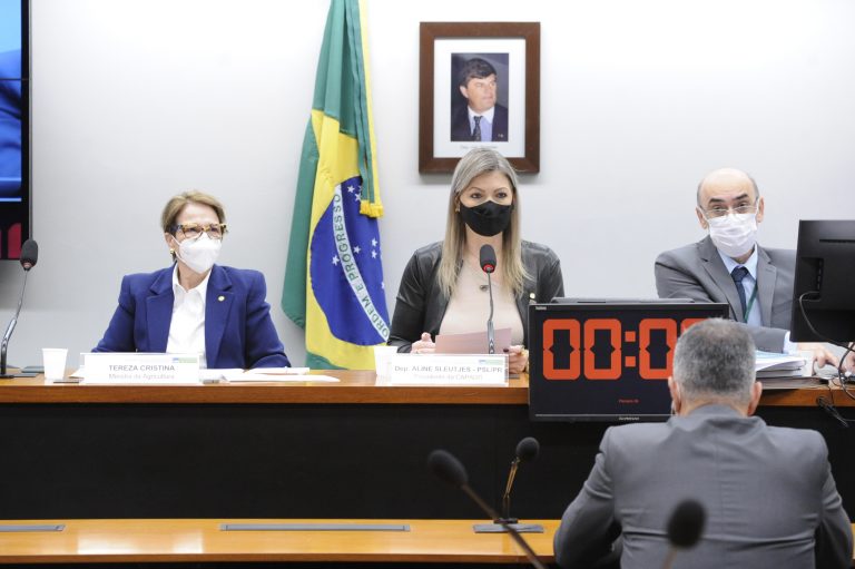 Várias pessoas usam máscara e estão sentadas à mesa com microfones à sua frente