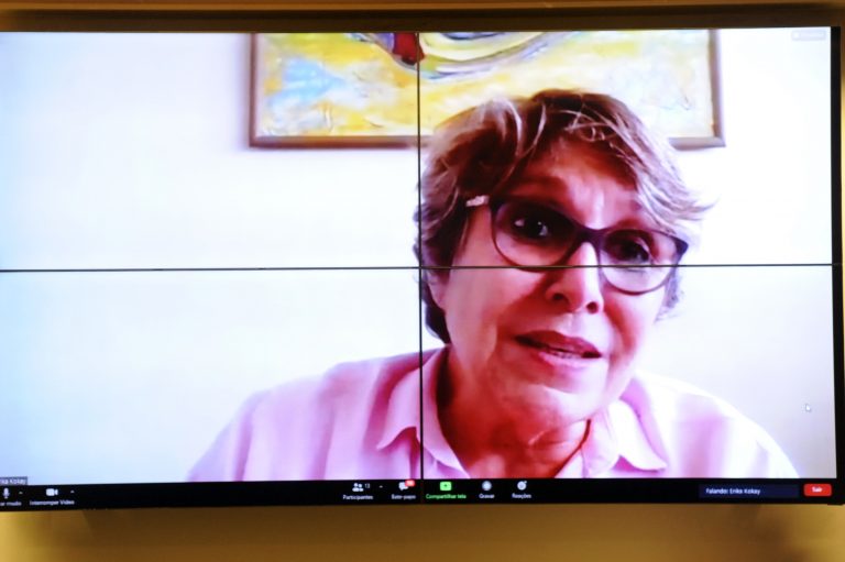 Conflitos Agrários em Terras Públicas. Dep. Erika KokayPT - DF
