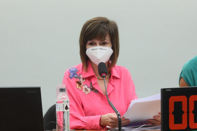 Deputada Professora Dorinha na reunião da comissão