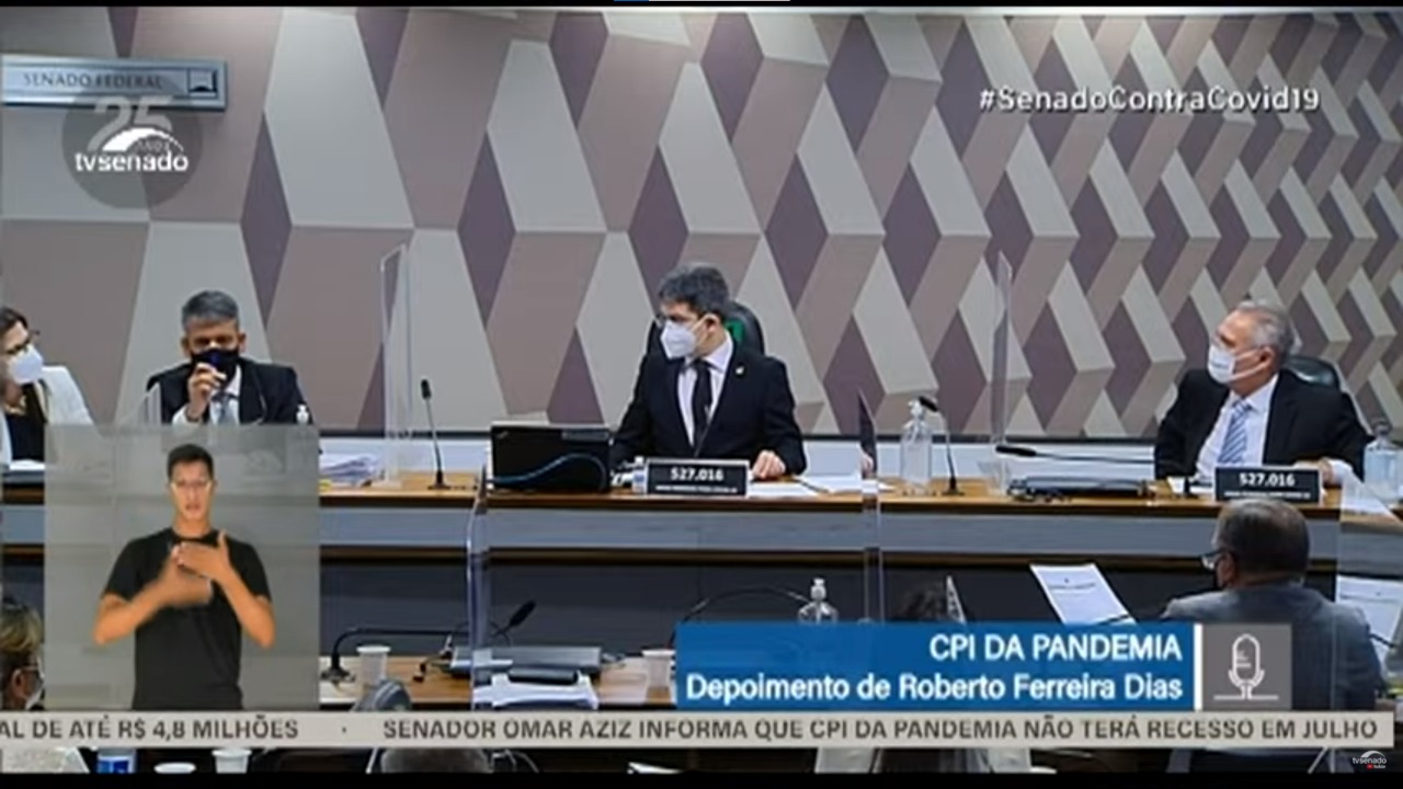 Diretor MS Logística