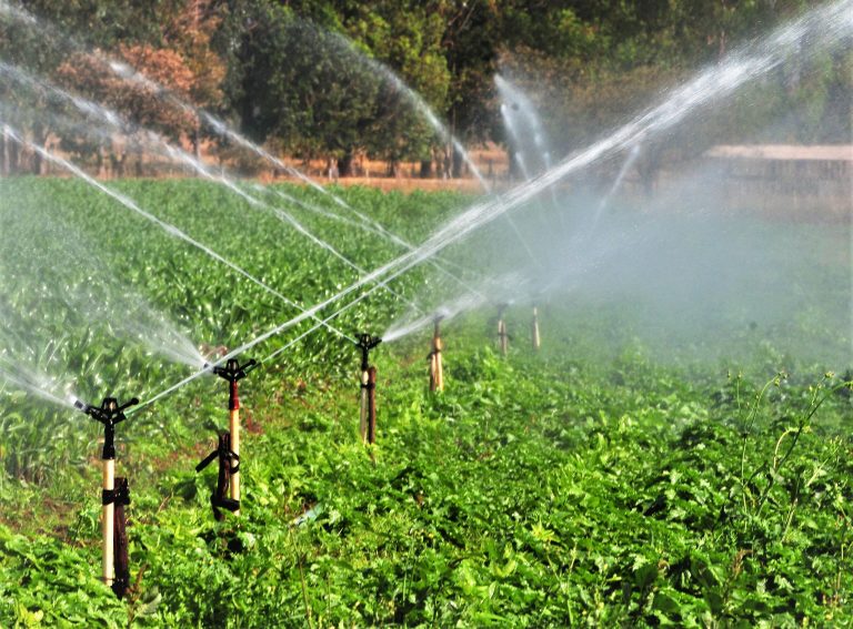 Comissão promove debate para celebrar Dia Nacional da Agricultura Irrigada