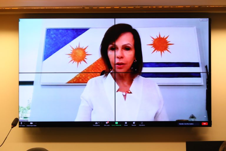 Audiência Pública do Grupo de Estudos - Formação Universitária, Inicial e Continuada, e Uso de Tecnologias de Informação e Comunicação (Tics) e Metodologias de Ensino Inovadoras. Dep. Professora DorinhaSeabra RezendeDEM - TO