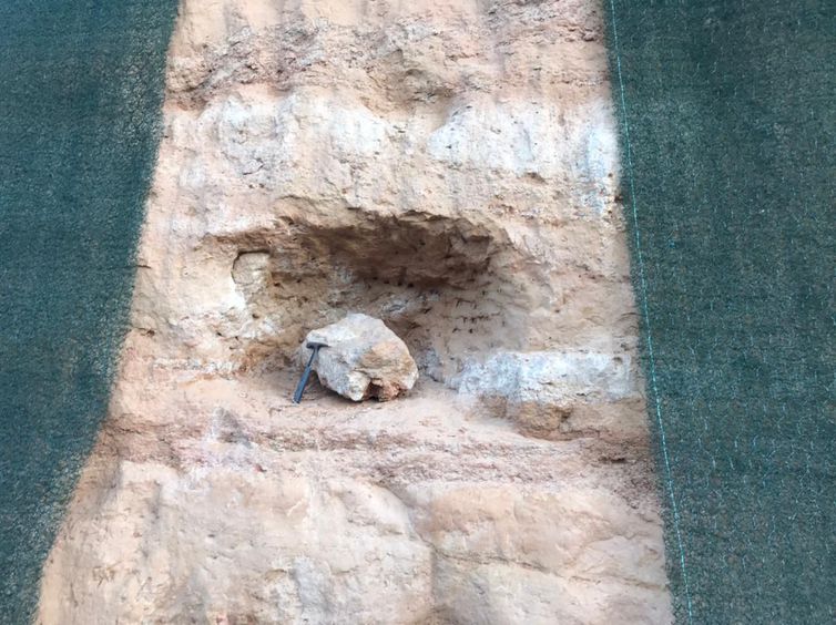 Fóssil de dinossauro é encontrado no interior de SP