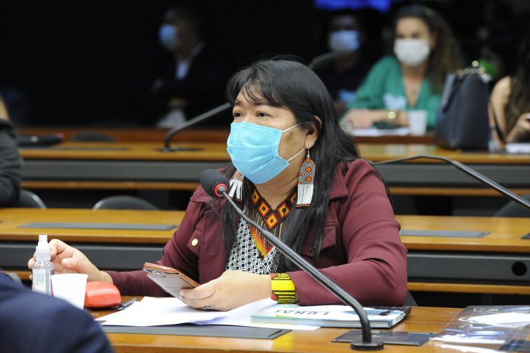 Audiência Pública – Ações para a defesa dos povos indígenas. Dep. Joenia WapichanaREDE - RR