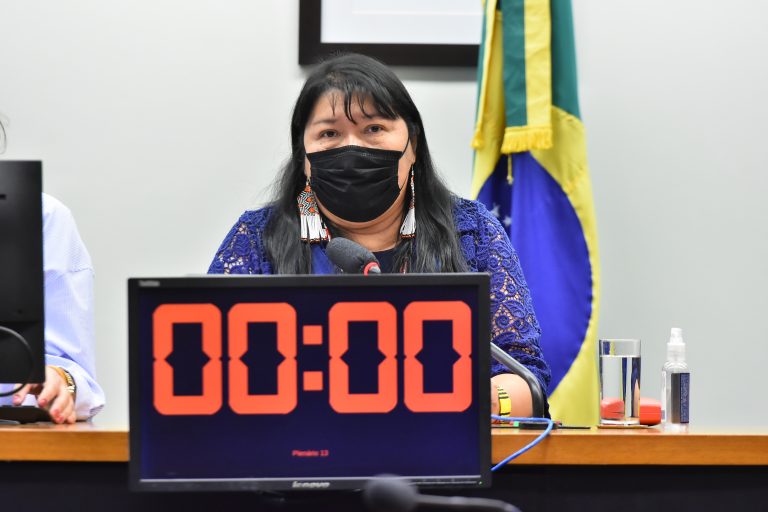 Audiência Pública - Avanços e desafios desde a demarcação da Terra Indígena Raposa Serra do Sol em Roraima. Dep. Joenia WapichanaREDE - RR