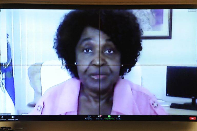 Audiência Pública - *Impactos da COVID-19 na comunidade negra. Dep. Benedita da SilvaPT - RJ