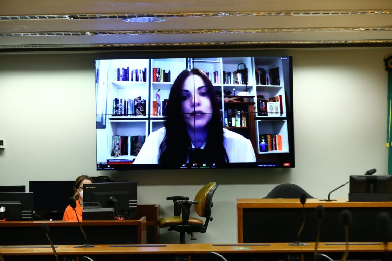 Audiência Pública - O estudo "Visível e Invisível: A vitimização de Mulheres no Brasil. Coordenadora de Pesquisa e Impacto do Instituto Avon, Beatriz Accioly