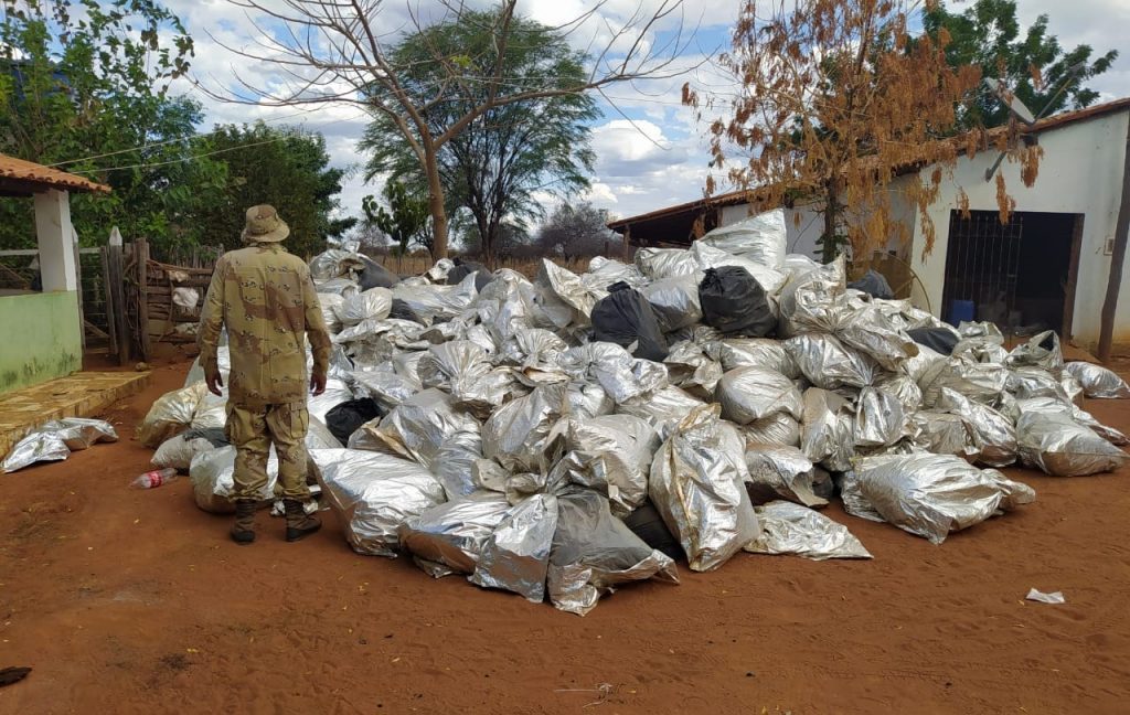 Operação - Polícia Militar