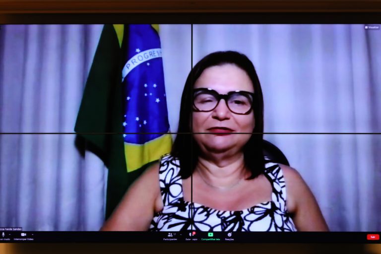 Audiência Pública - Fundeb: indicadores para educação profissional técnica. Dep. Professora Rosa NeidePT - MT