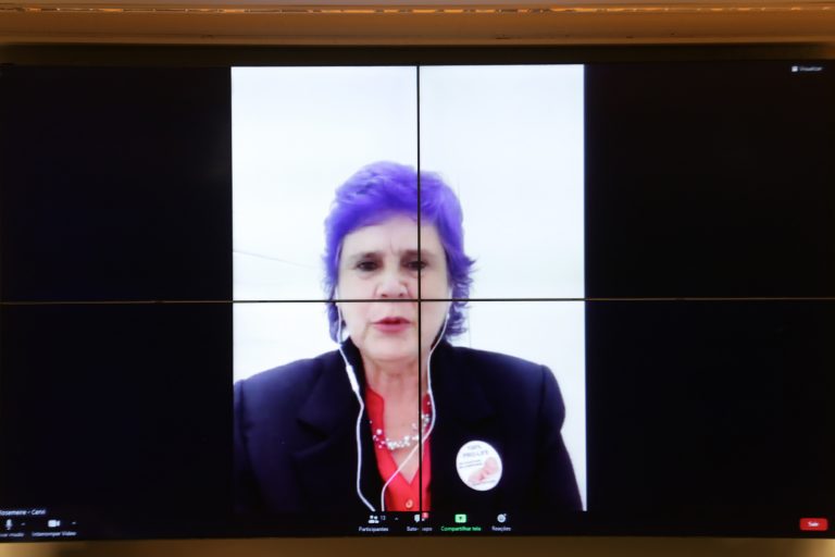 Proteção Integral do Nascituro e dá Outras Providências PL 434 de 2021. Fundadora e Presidente de Honra do Cervi- Centro de Reestruturação para a Vida, Rosemeire Santiago