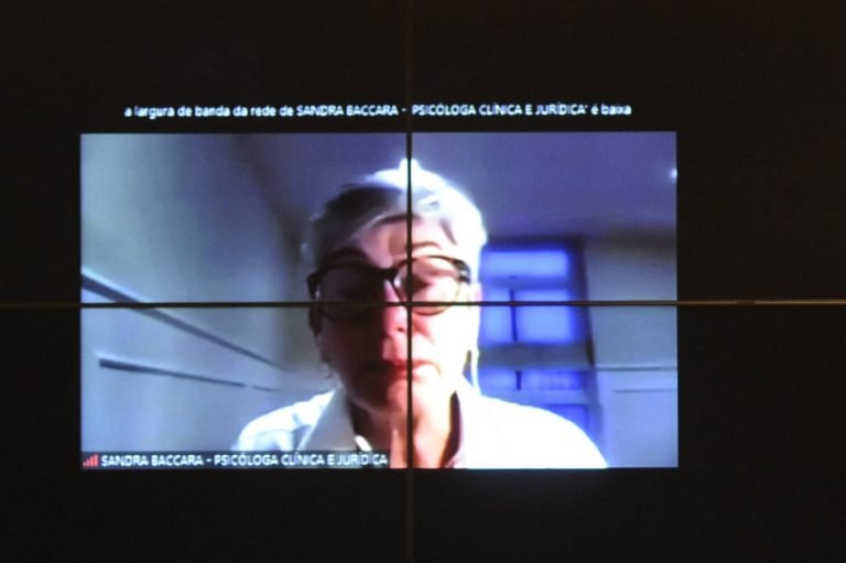 Audiência Pública - Crimes de alienação parental contra crianças e adolescentes. Psicóloga Clínica e Jurídica, Sandra Baccara