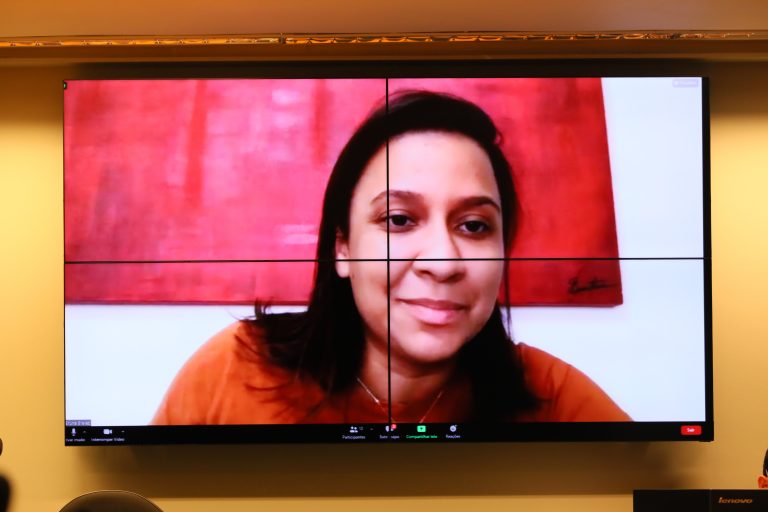 Audiência Pública - Prorrogação do prazo de vigência da Lei de Cotas PL. Presidenta da UNE - União Nacional dos Estudantes, Bruna Brelaz