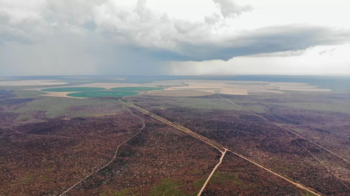 Imagem aérea do cerrado baiano, com uma vasta área verde desmatada