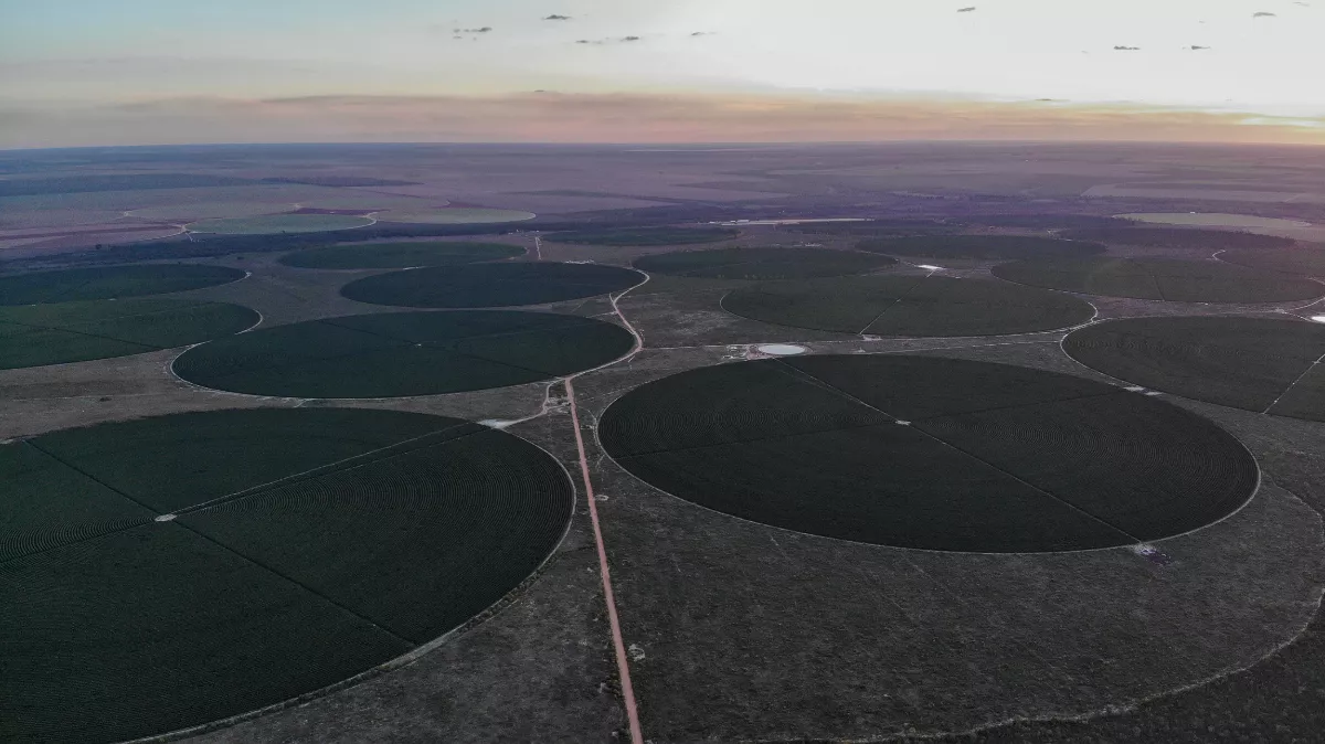 Área extensa do agronegócio