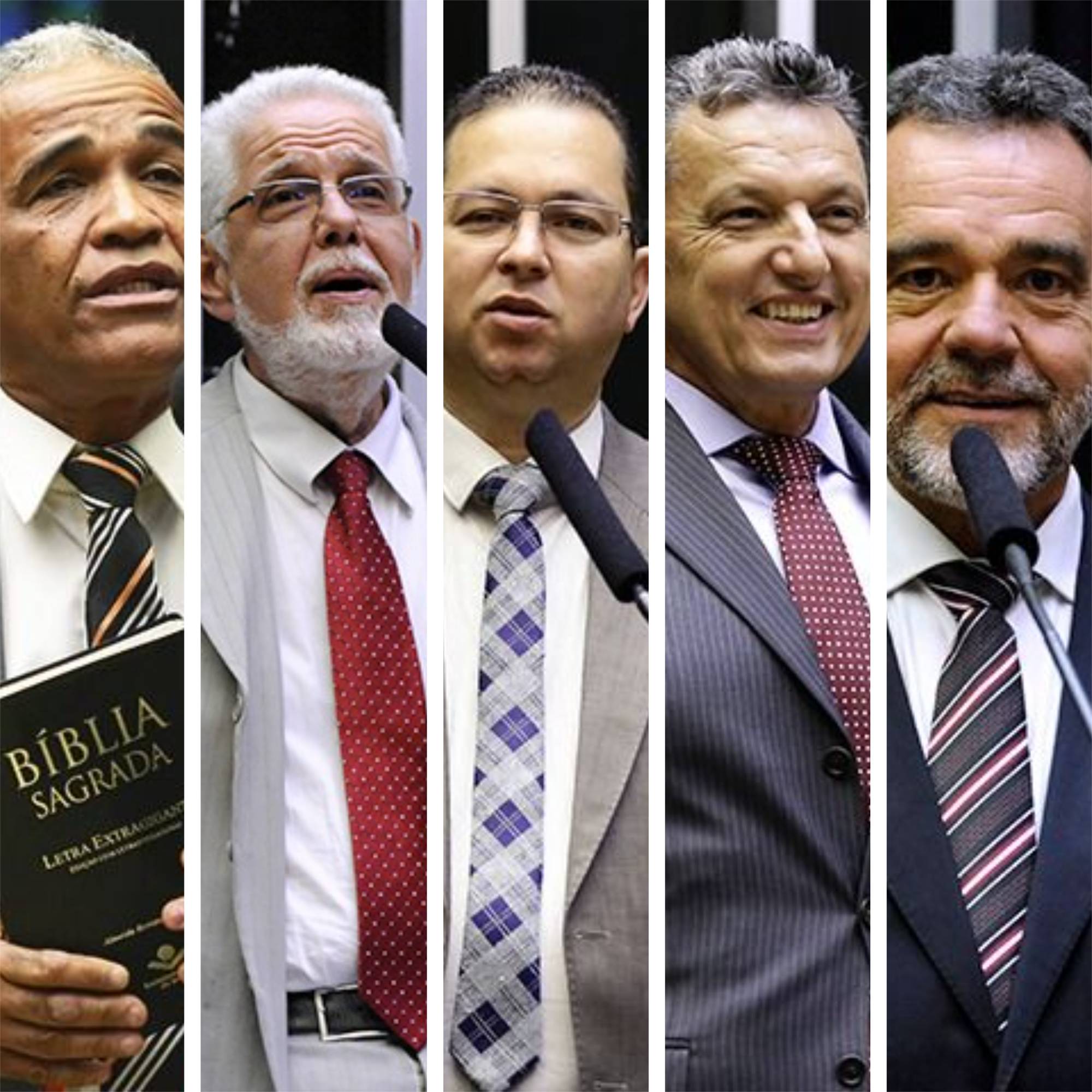 Deputado federais