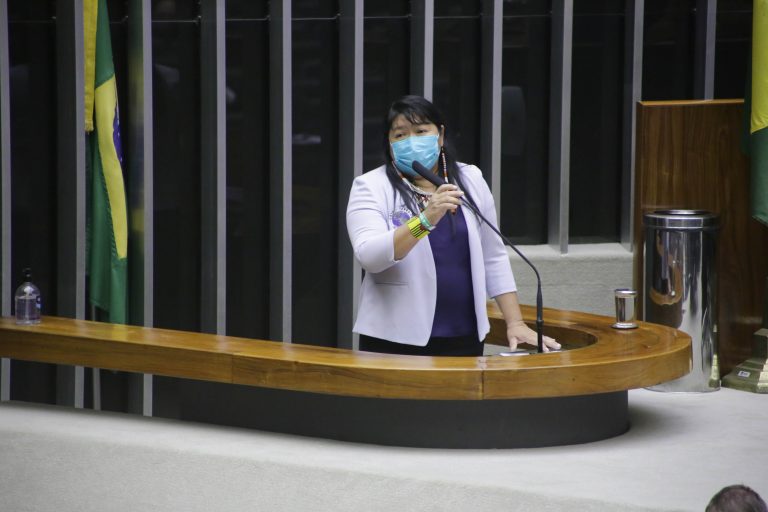 Discussão e votação de propostas. Dep. Joenia Wapichana REDE-RR