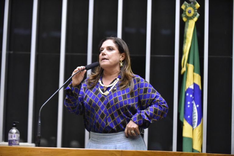 Discussão e votação de propostas. Dep. Soraya Santos PL - RJ