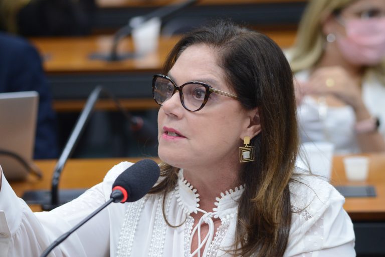 Apresentação do Portal Informativo sobre os Direitos das Vítimas. Dep. Soraya Santos PL-RJ