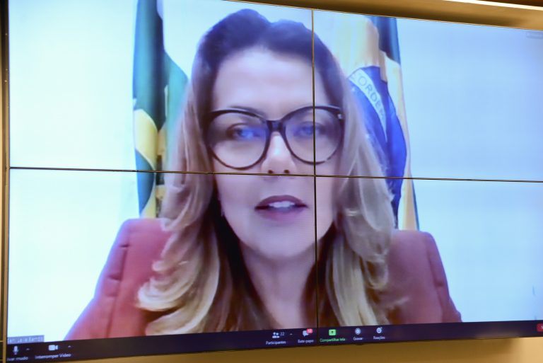 II Encontro Nacional de Procuradoras da Mulher. Leila Barros - Senadora