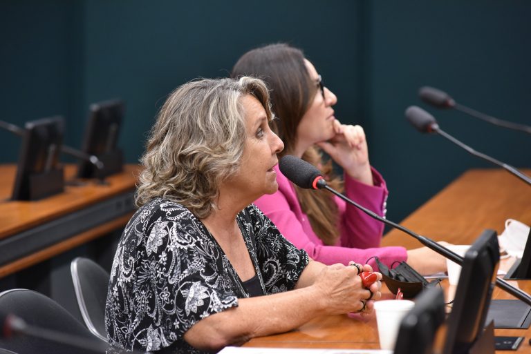 Debate sobre o enfrentamento às múltiplas violências na Primeira Infância. Dep. Erika Kokay PT-DF