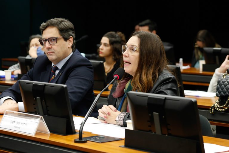 Audiência Pública. Dep. Luiz Philippe de Orleans e Bragança PL - SP; Dep. Bia Kicis PL-DF