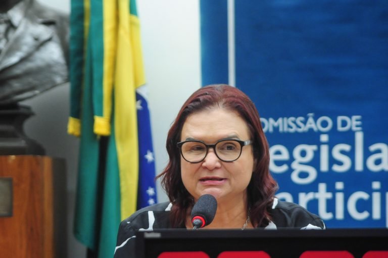 Comissão De Educação Promove Audiência Para Debater Formação De Professores