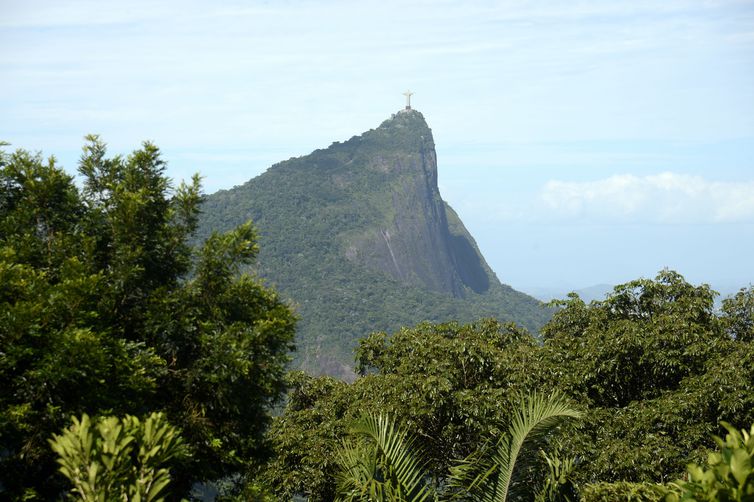 Vista da mata atlântica na Floresta da Tijuca, no Rio de Janeiro