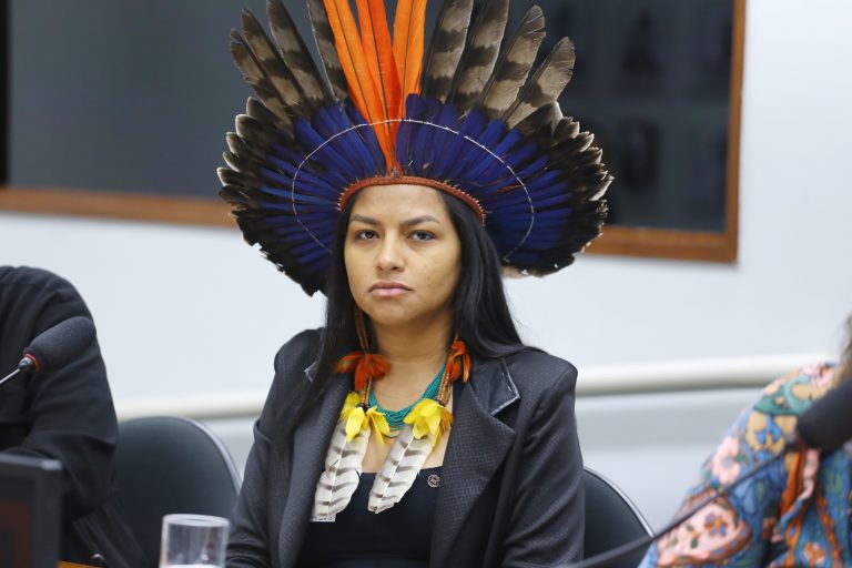 Audiência Pública - Violências cometidas contra crianças e adolescentes indígenas – Brasil. Secretária Nacional de Articulação e Promoção de Direitos Indígenas do Ministério dos Povos Indígenas, Juma Xipaia De Carvalho.