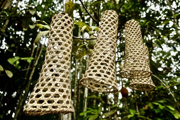 09/08/2023, Fotos da AMIARN (Associação das Mulheres Indígenas do Alto Rio Negro), que estimula o artesanato e a agricultura.
Foto: Vik Birkbeck