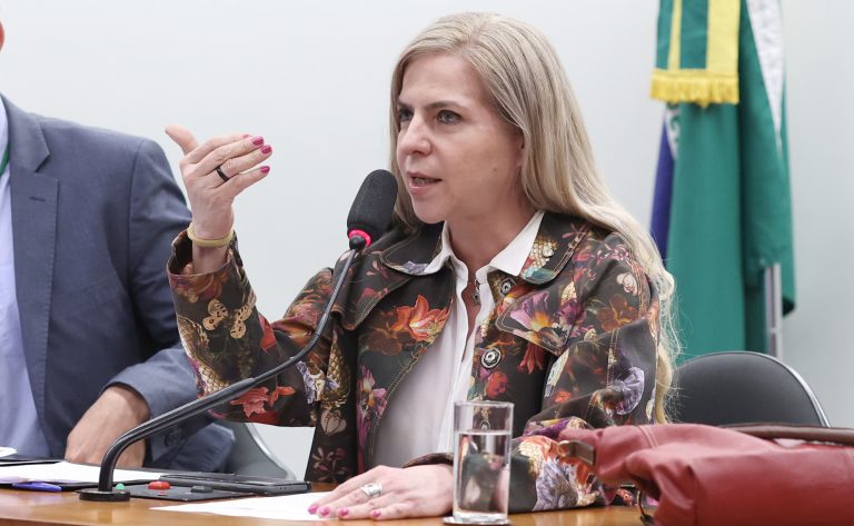 Audiência Pública - Situação dos refugiados no Brasil. Dep. Luizianne Lins (PT - CE)