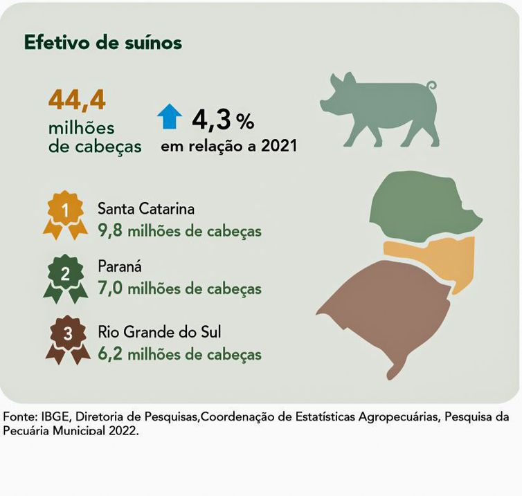 Brasília (DF) 20/09/2023 - ILUSTRAÇÕES - Pecuária brasileira colecionou recordes em 2022, aponta IBGE
Fonte IBGE/Divulgação