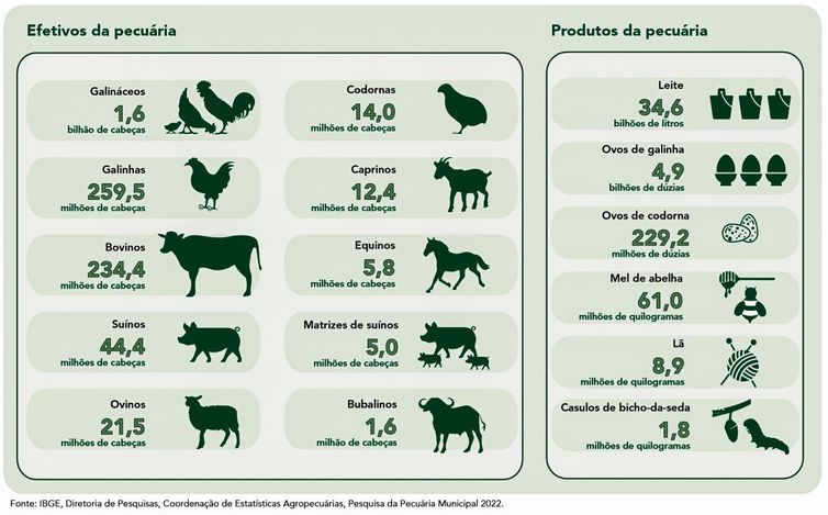 Brasília (DF) 20/09/2023 - ILUSTRAÇÕES - Pecuária brasileira colecionou recordes em 2022, aponta IBGE
Fonte IBGE/Divulgação
