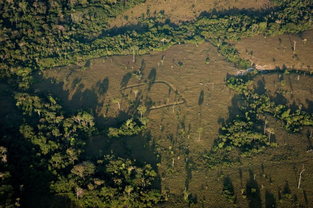 Imagem aérea mostra figuras de obras de terra na Amazônia