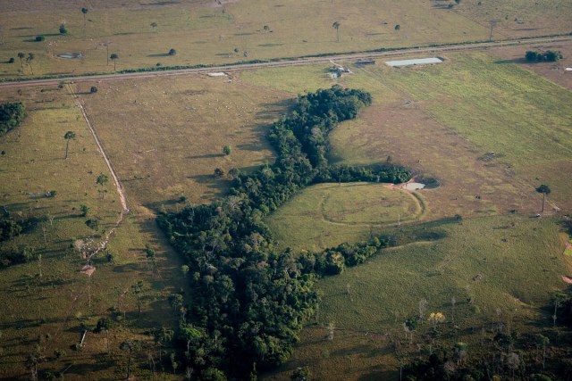 Imagem aérea mostra figuras de obras de terra na Amazônia