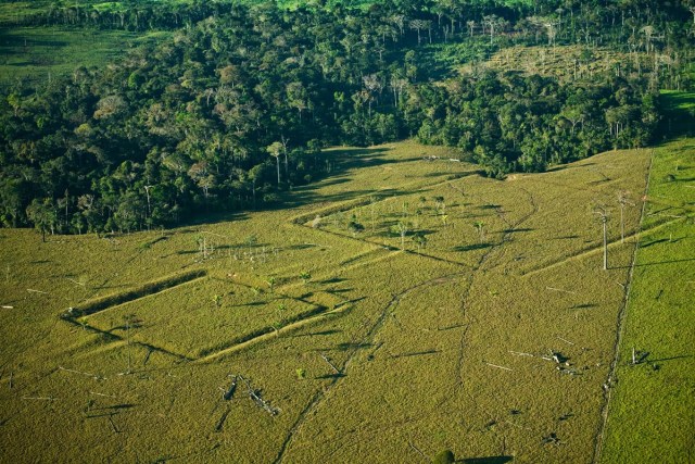 Imagem aérea mostra figuras de obras de terra na Amazônia