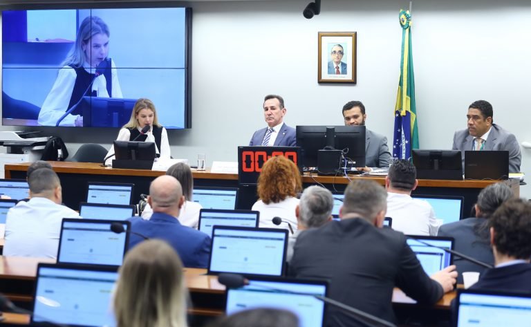 Grupo De Trabalho Sobre Violência Nas Escolas Aprova Relatório Com Sugestões Para Combater O 