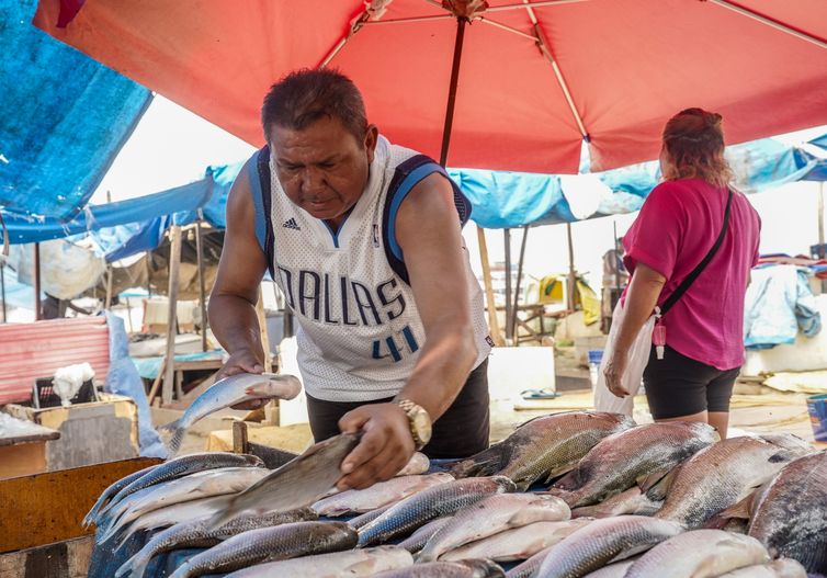 Manaus (AM), 20/11/2023, Marcos César Antonio, o Marcos do Pescado, comerciante, vende
peixes na região do Porto de Manaus. Manaus sofrre com a maior seca em 121 anos. Foto: Rafa Neddermeyer/Agência Brasil