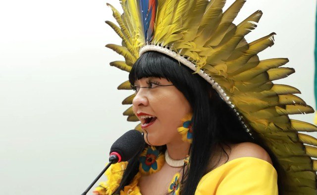 Deputada federal Célia Xakriabá (PSOL-MG)