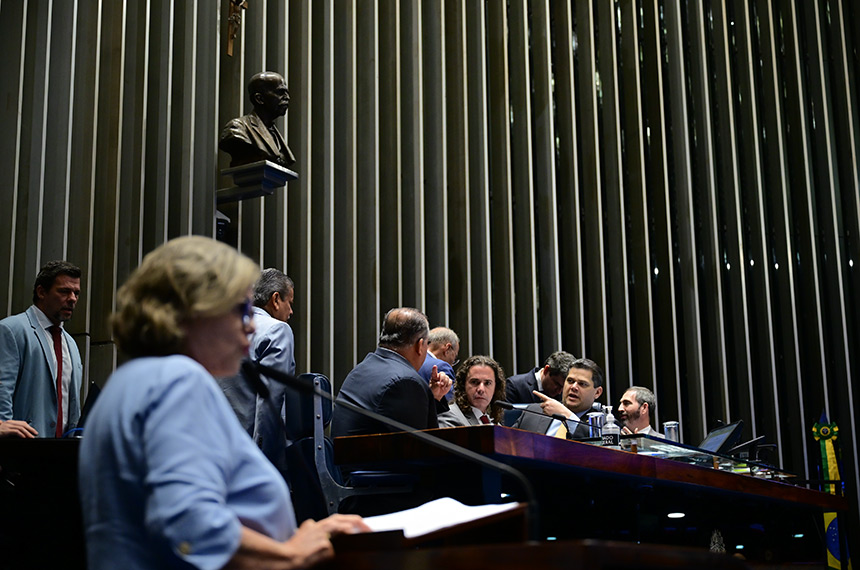 Líder do governo no Senado Federal, senadora Teresa Leitão (PT-PE) em discurso à tribuna.